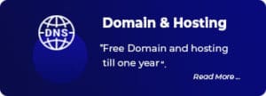 Domain & Hosting