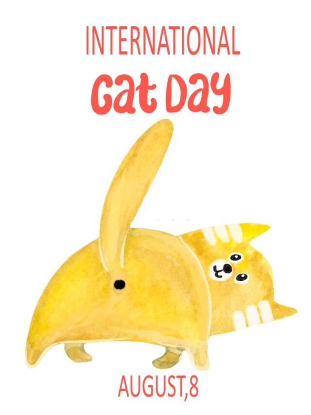 International Cat Day- 8/8/2022