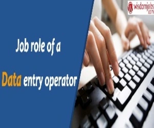 Job role for DEO