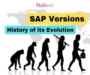 History of SAP