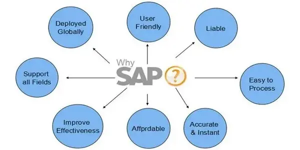 Meaning of SAP