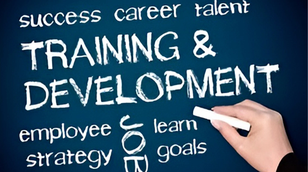 From Training to Placement—Your Career, Our Responsibility