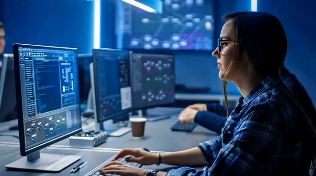 C. Software & IT Skills