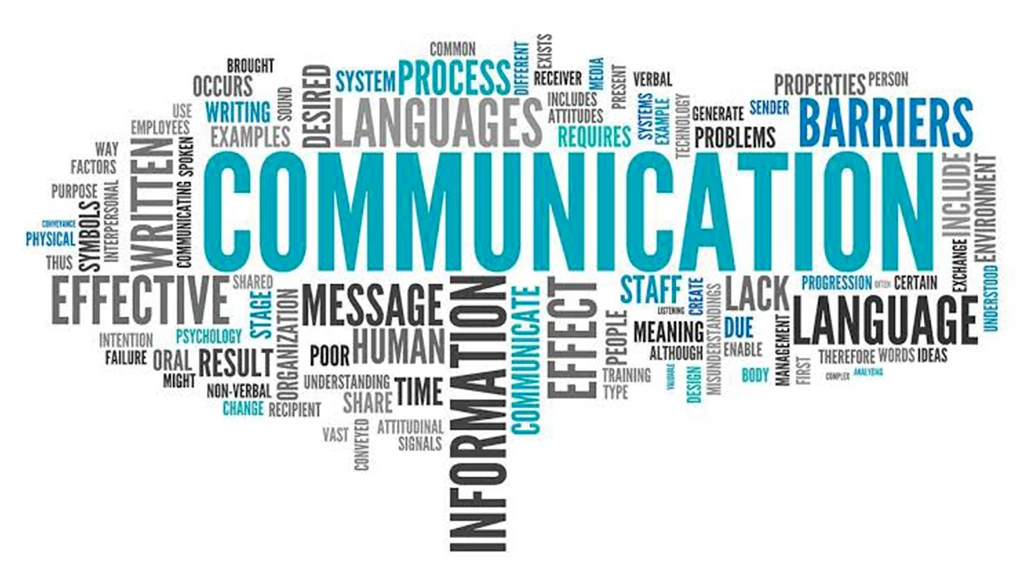 Step 5: Communication and Professional Skills